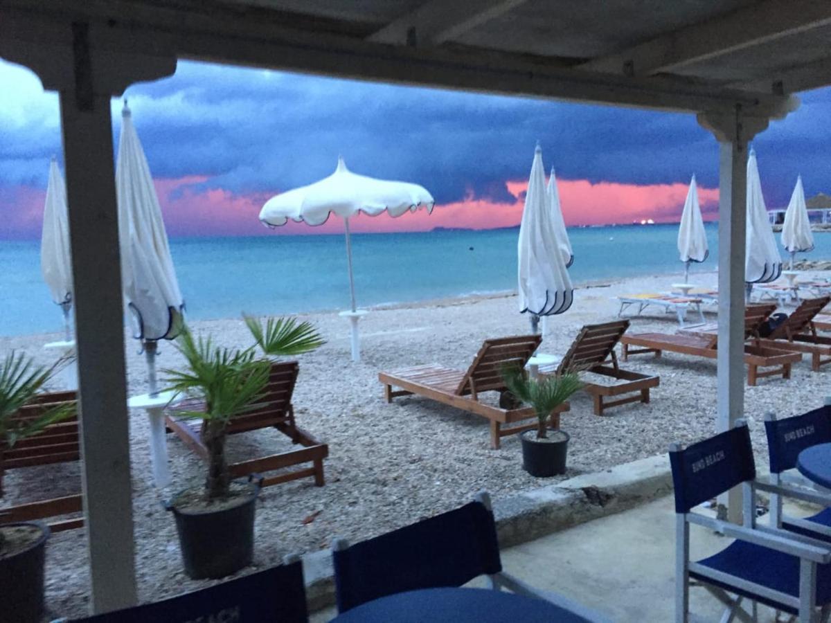 Palmanova Beach Mardok Kanine Eksteriør billede