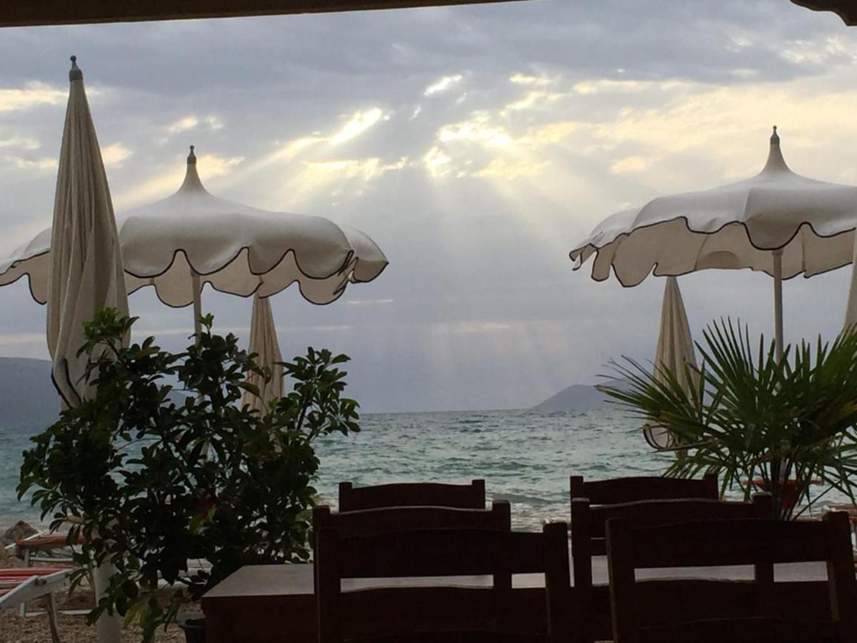 Palmanova Beach Mardok Kanine Eksteriør billede